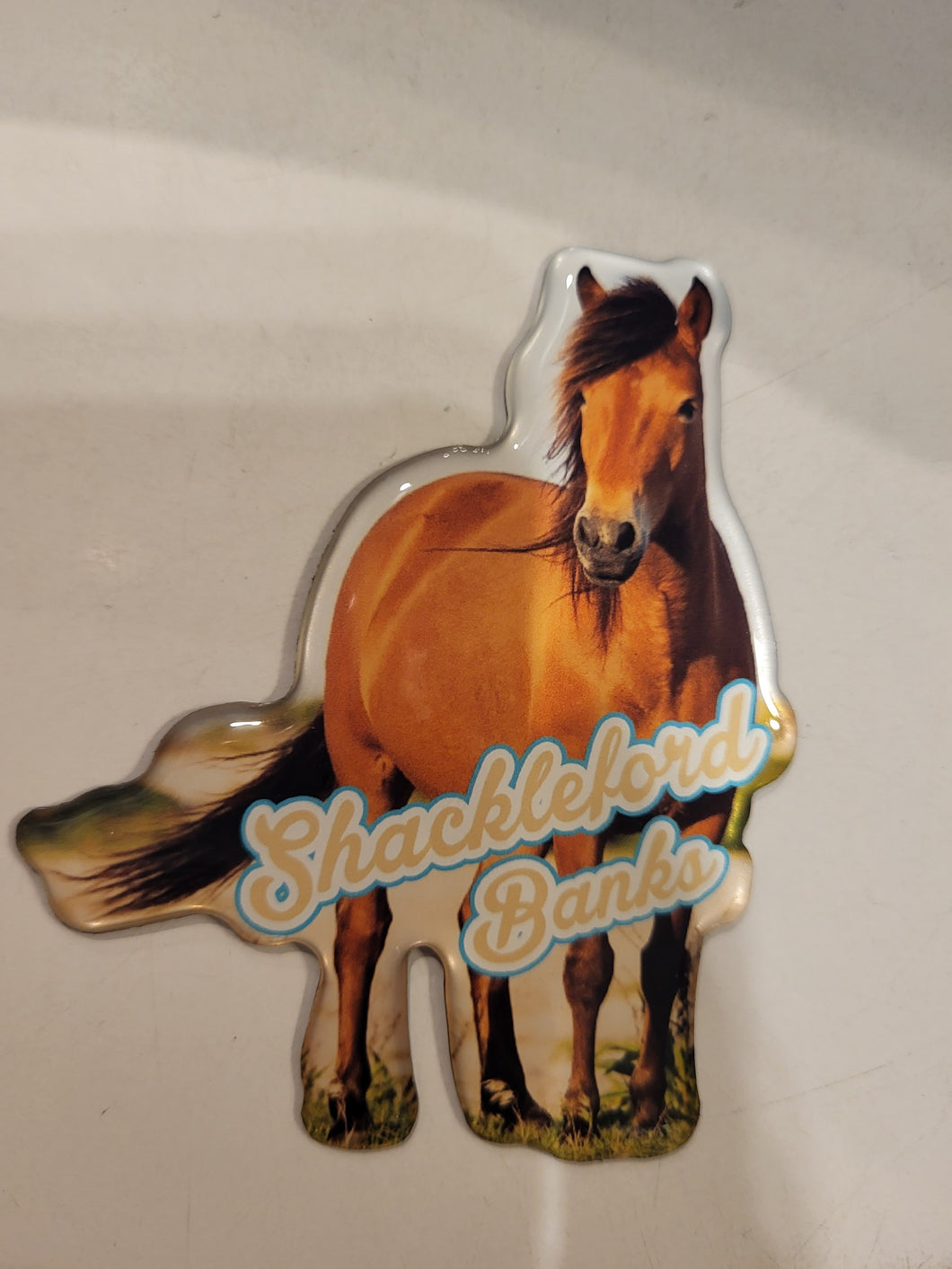 Shackleford Banks Magnet – Shack Shoppe, LLC